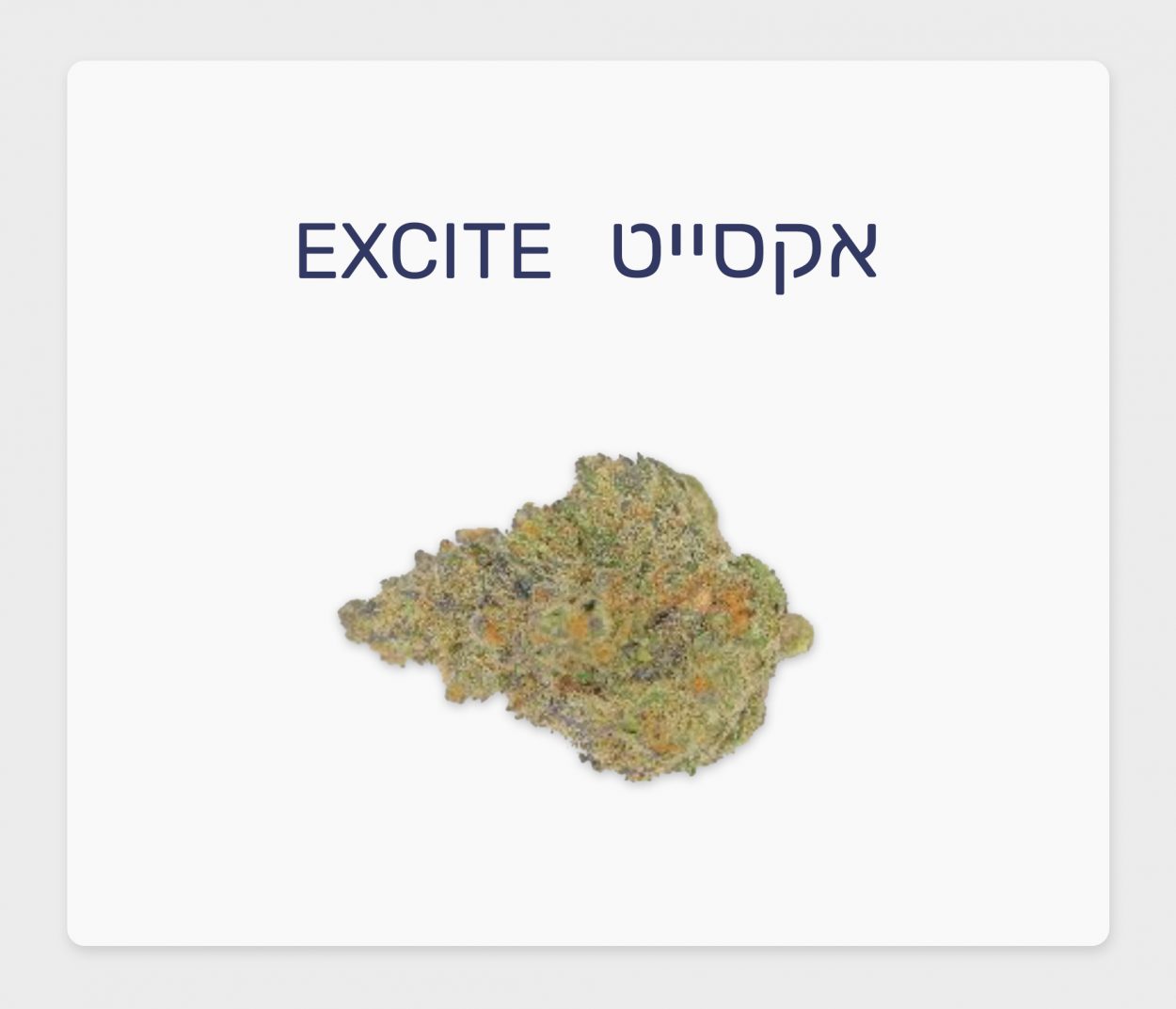 סקירת זן – אקסייט T20/C4 אינדיקה