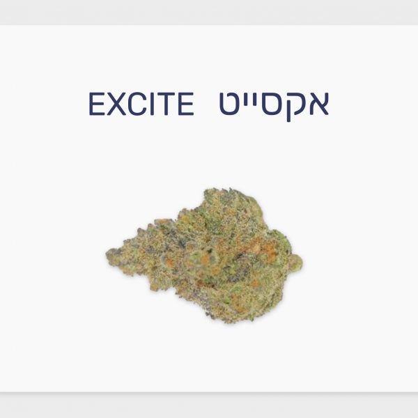 סקירת זן – אקסייט T20/C4 אינדיקה