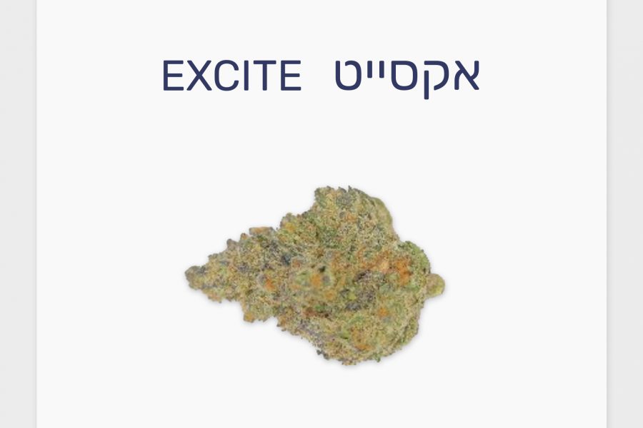 סקירת זן – אקסייט T20/C4 אינדיקה