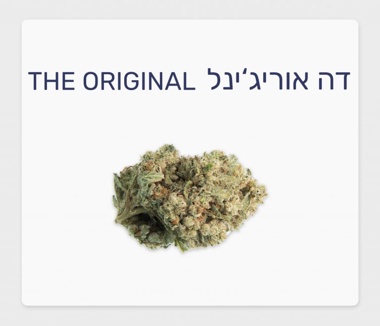 סקירת זן – דה אוריג'ינל T20/C4 אינדיקה