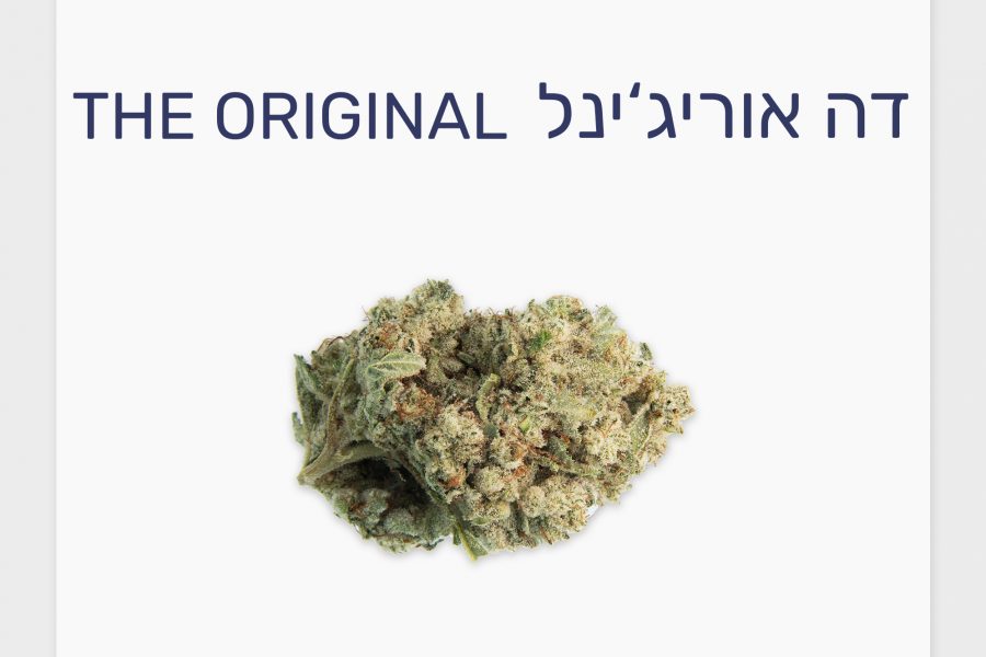 סקירת זן – דה אוריג'ינל T20/C4 אינדיקה