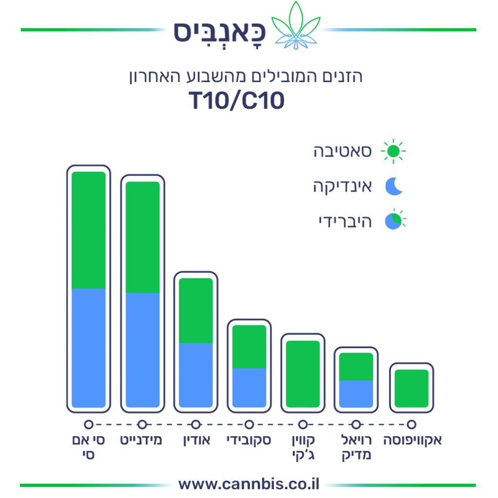 זנים T זנים T