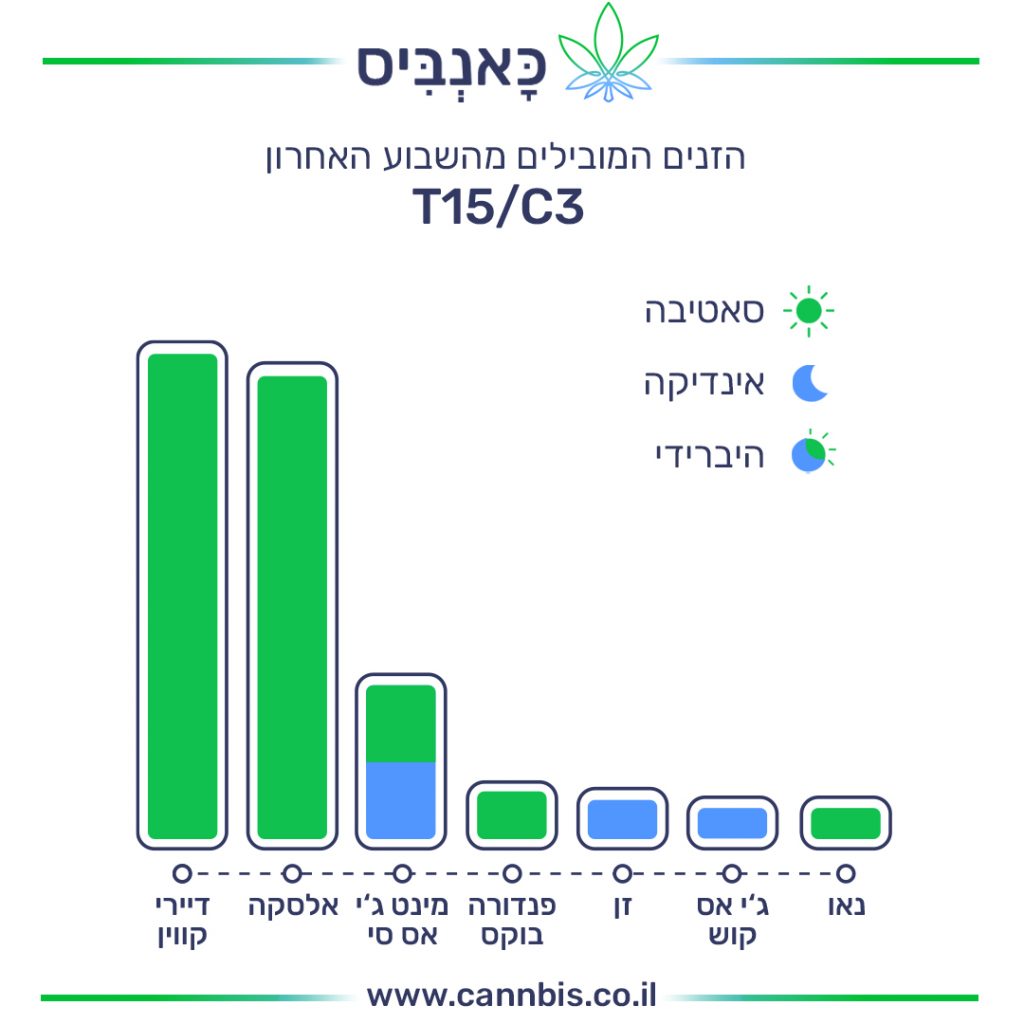 זנים T זנים T