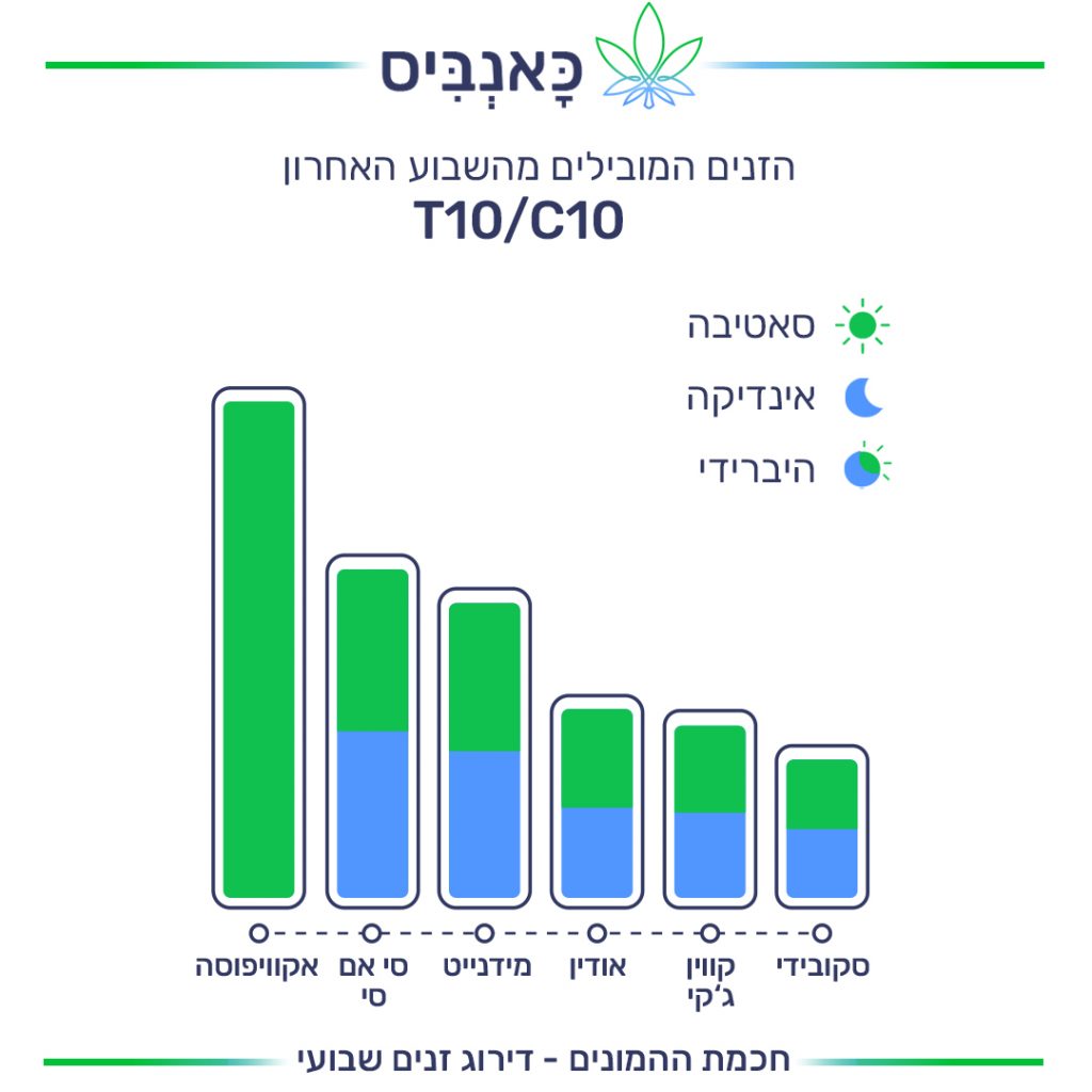 זנים T זנים T