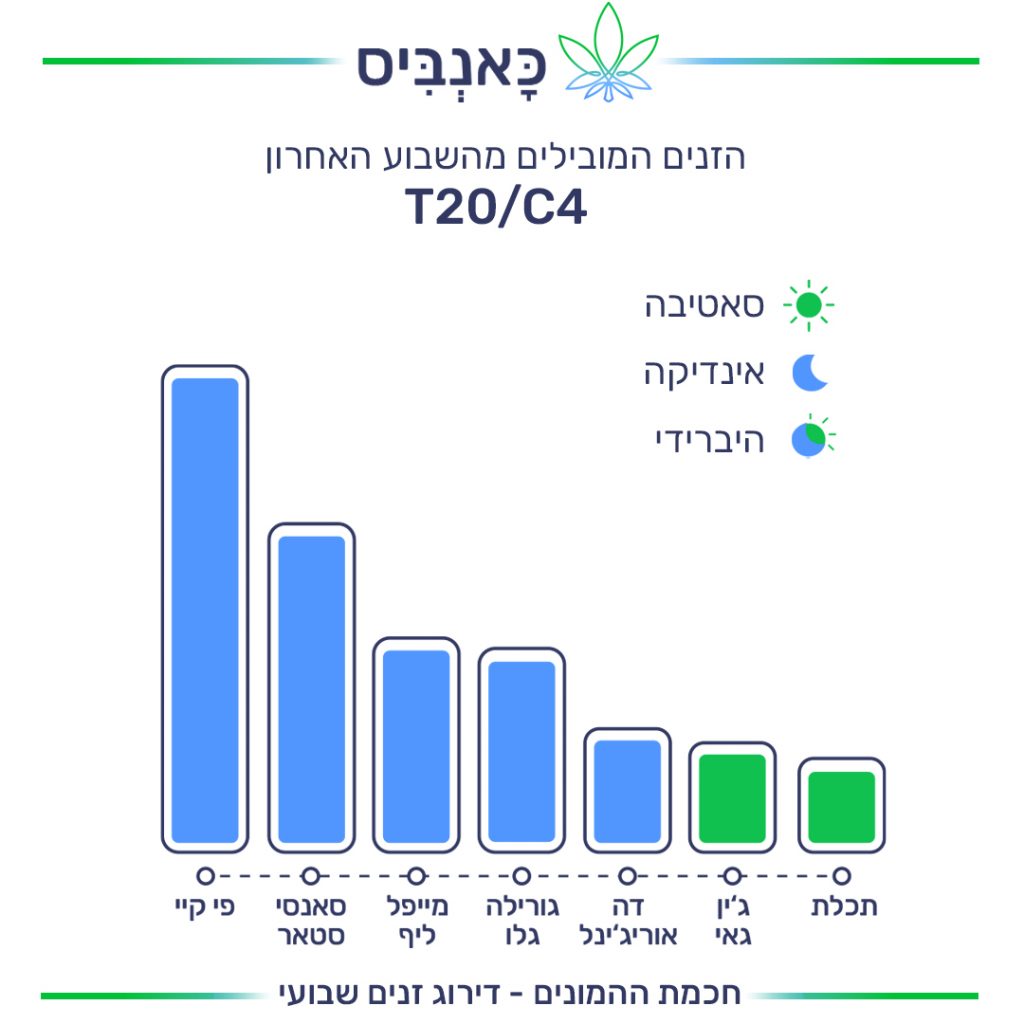 זנים T זנים T