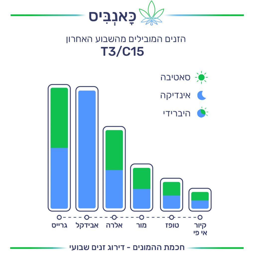 זנים T זנים T