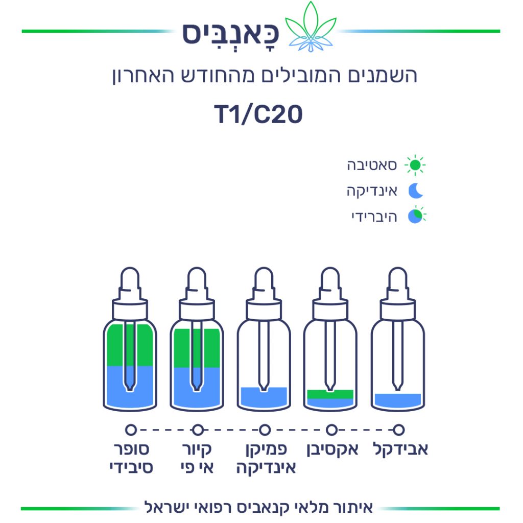 שמנים אוגוסט T שמנים אוגוסט T