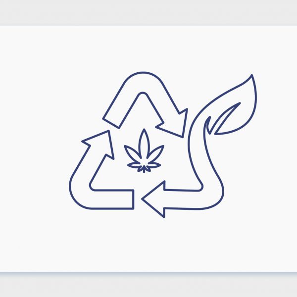 ההשפעה הסביבתית של גידול קנאביס