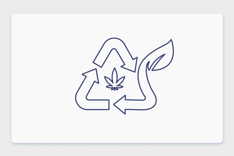 ההשפעה הסביבתית של גידול קנאביס