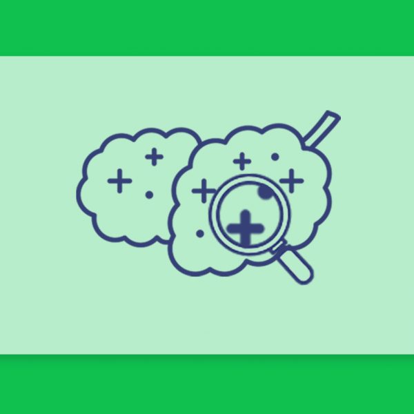 הזנים מחופשים ביותר באתר בשנה האחרונה