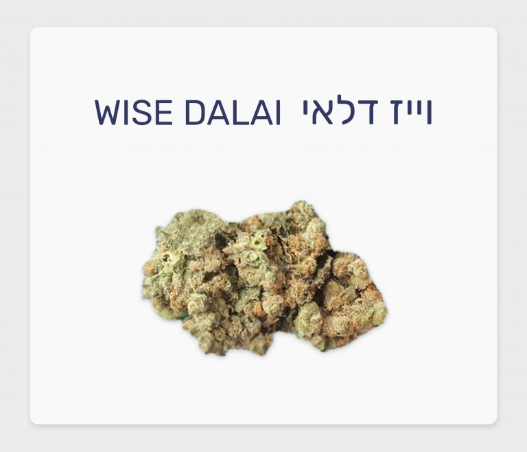 סקירת זן – וייז דלאי T20/C4 היברידי