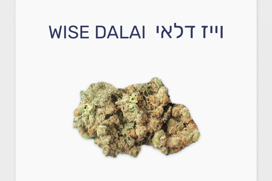 סקירת זן – וייז דלאי T20/C4 היברידי