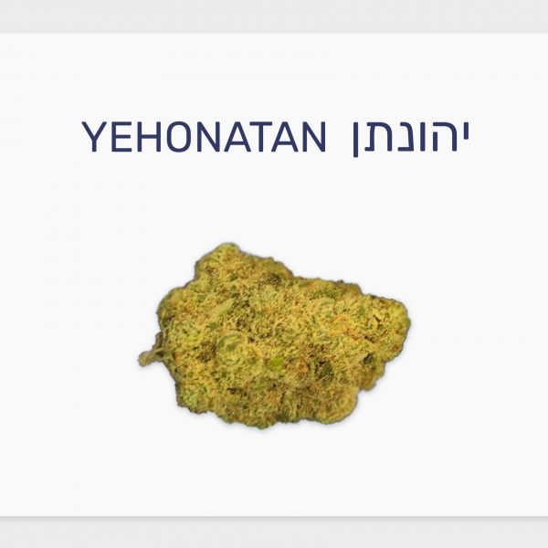 סקירת זן – יהונתן T20/C4 סאטיבה