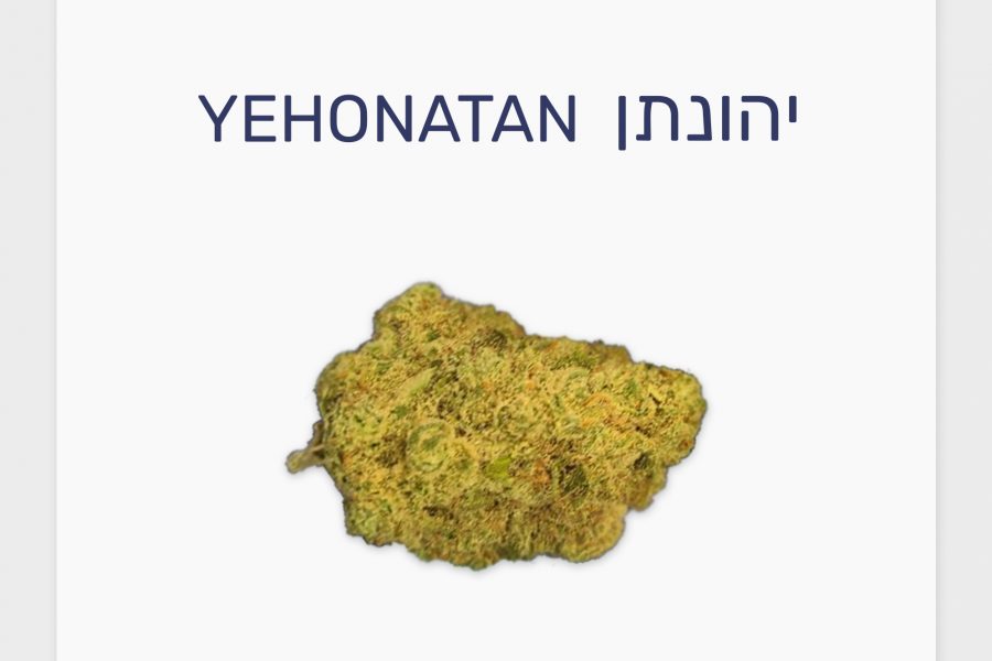 סקירת זן – יהונתן T20/C4 סאטיבה