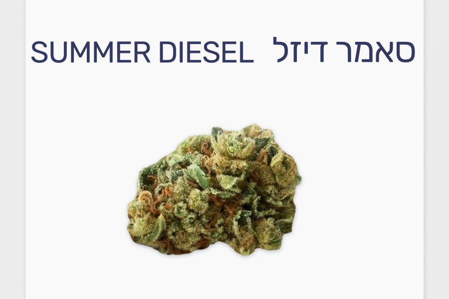 סקירת זן – סאמר דיזל T20/C4 סאטיבה