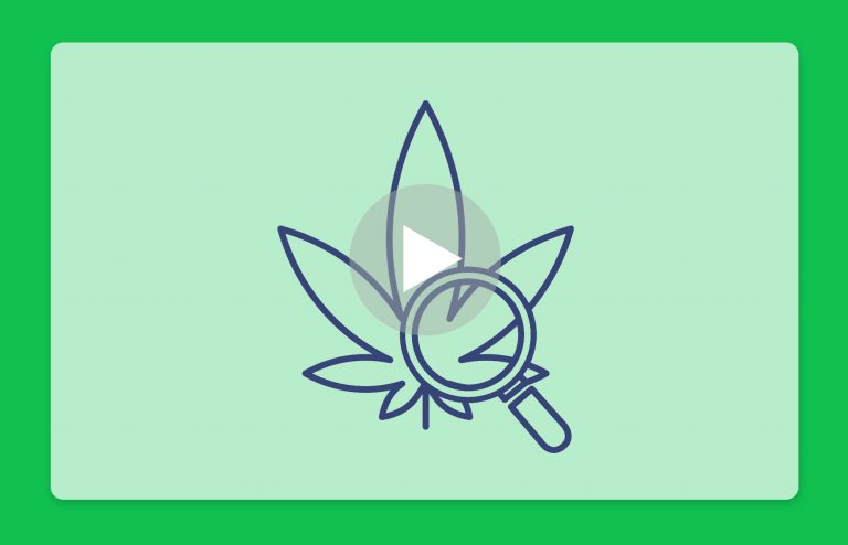 סרטון פתיחת שקית - אלגרו