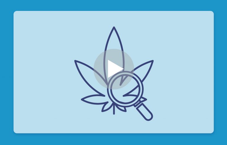 סרטון פתיחת שקית - פרפל דוגבאד