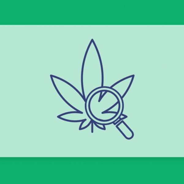 סיכום השבוע שהיה - עדכוני זנים