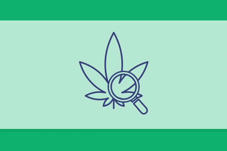 סיכום השבוע שהיה - עדכוני זנים