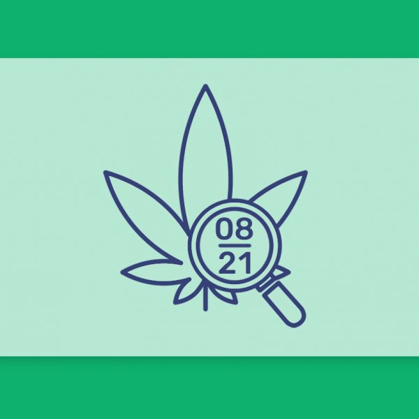 סיכום החודש שהיה אוגוסט 21