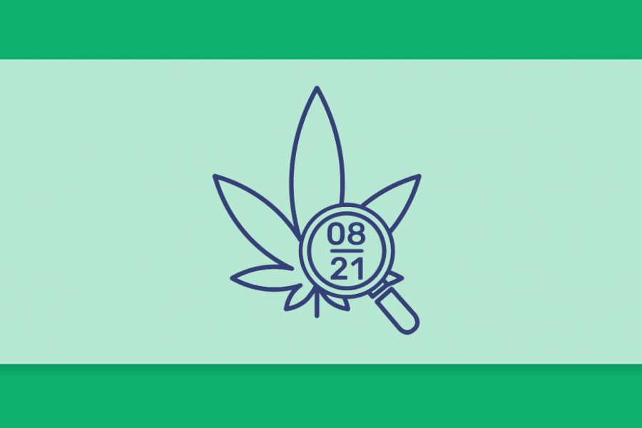 סיכום החודש שהיה אוגוסט 21