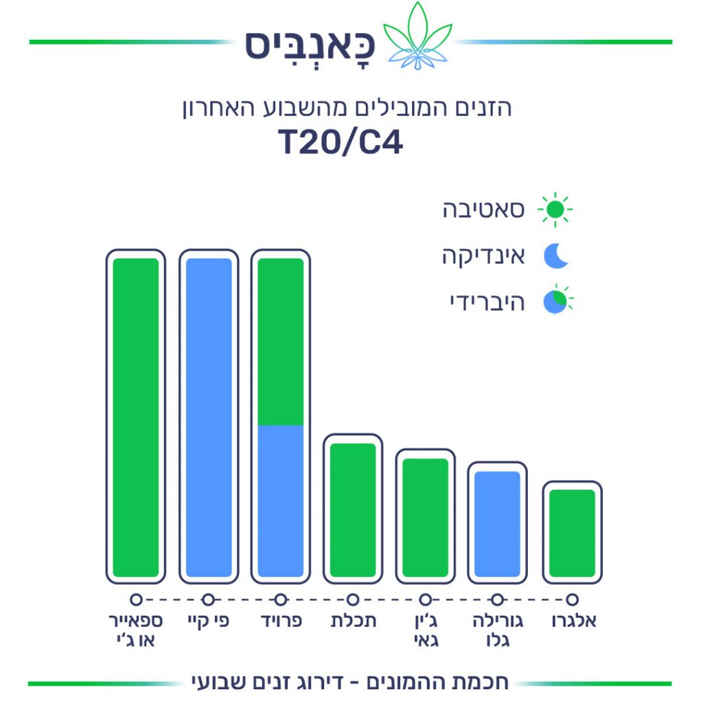 דירוג זנים T20/C4