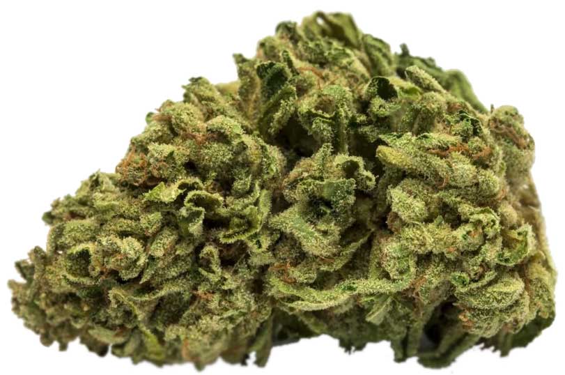 תפרחת אל קיי