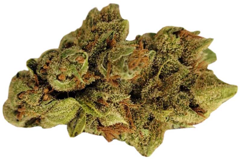 תפרחת ביטלג'וס