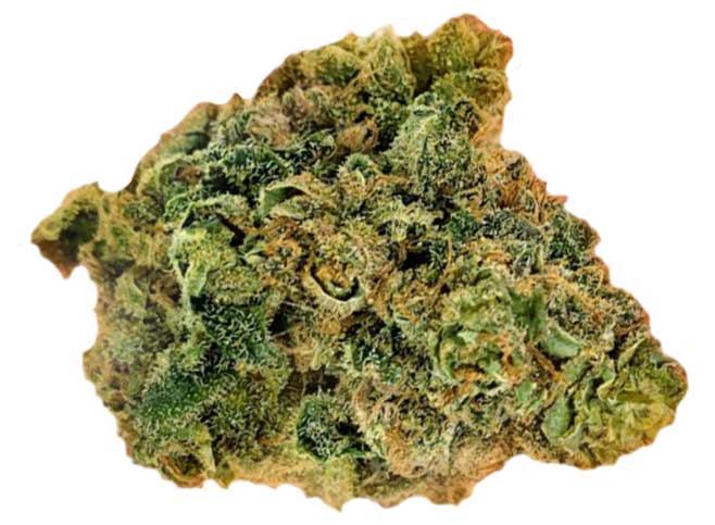 תפרחת בליסימה