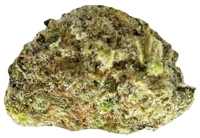 תפרחת ג'ין גאי