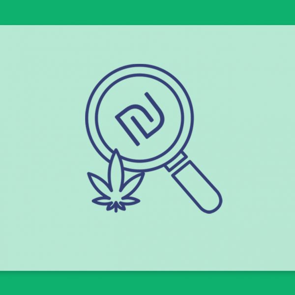 הזנים הכי יקרים והכי זולים כרגע בבתי המרקחת השונים