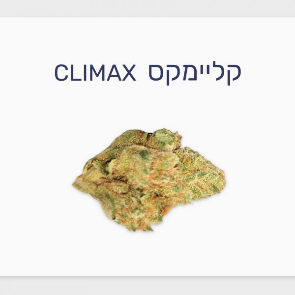 סקירת זן – קליימקס T20/C4 סאטיבה