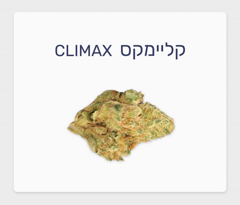 סקירת זן – קליימקס T20/C4 סאטיבה