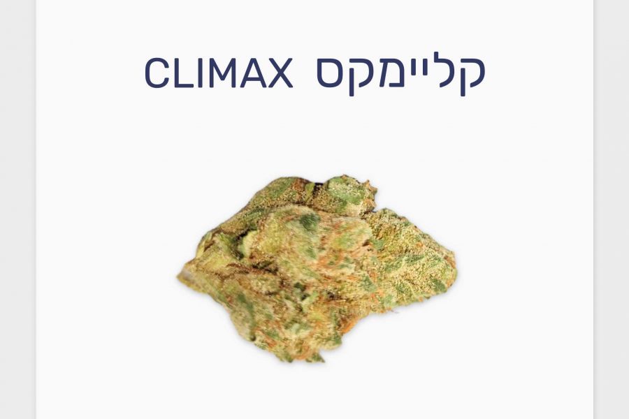 סקירת זן – קליימקס T20/C4 סאטיבה