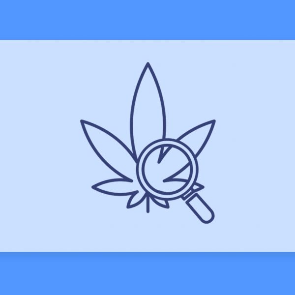 סיכום השבוע שהיה - עדכוני זנים