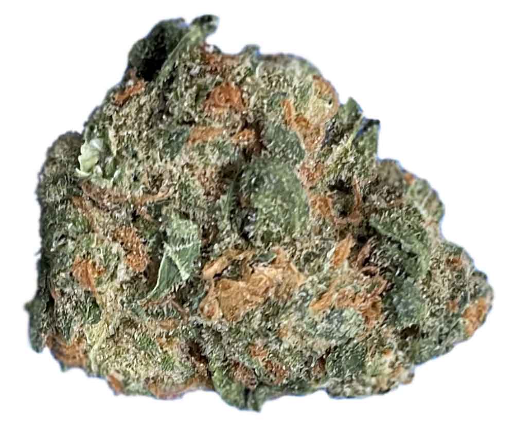 תפרחת מימוזה