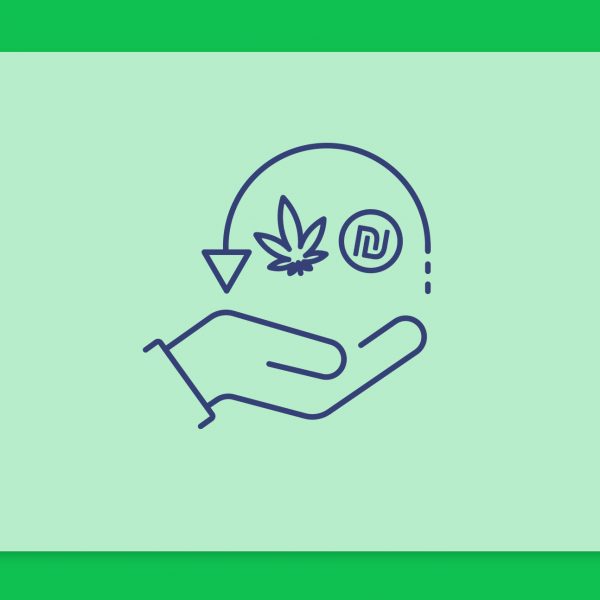 מטופלים בקנאביס רפואי? כך תוכלו לקבל קצבת נכות או החזר כספי