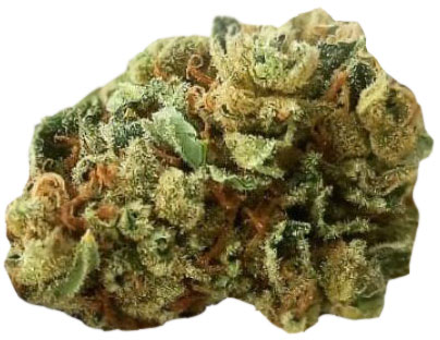 תפרחת סאמר דיזל