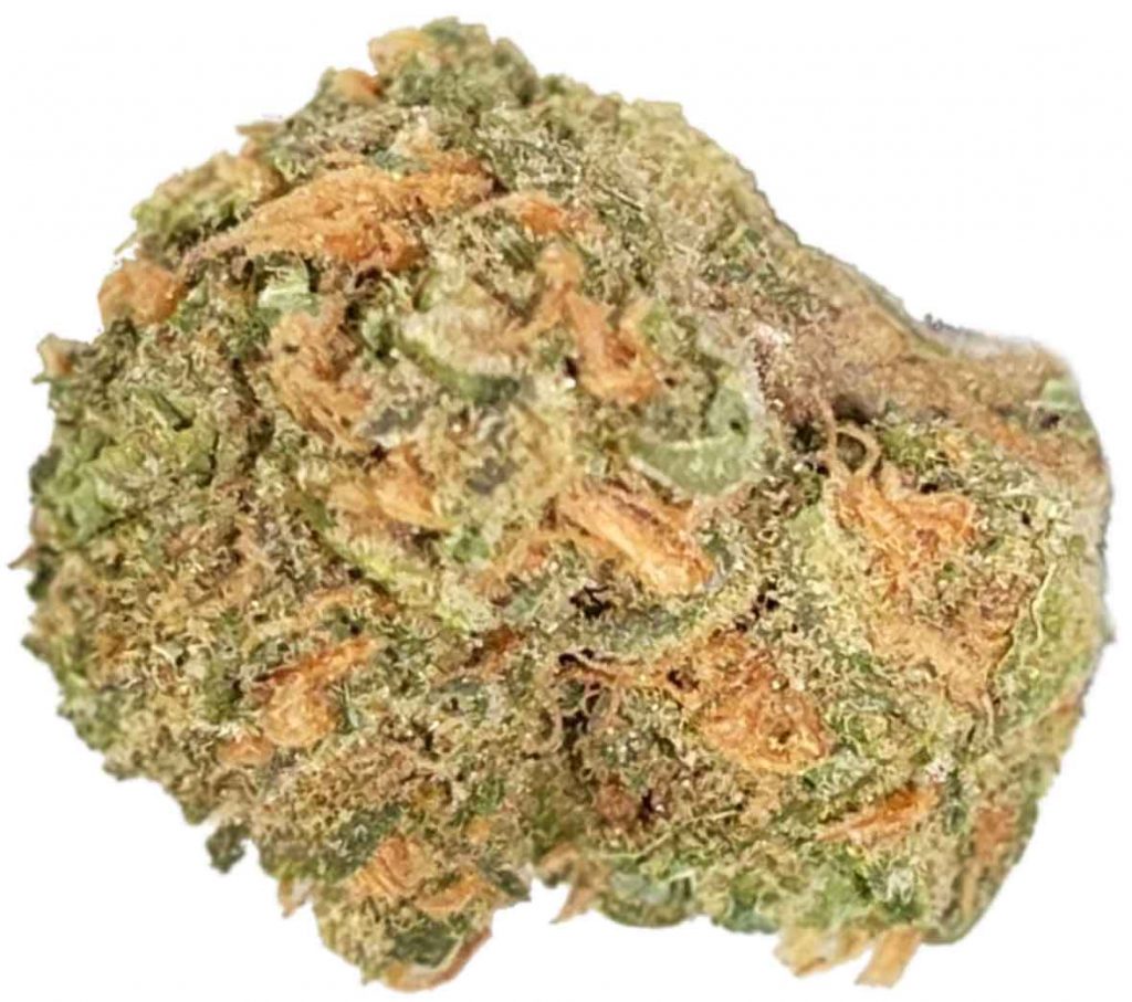 תפרחת סוויט למון דיזל