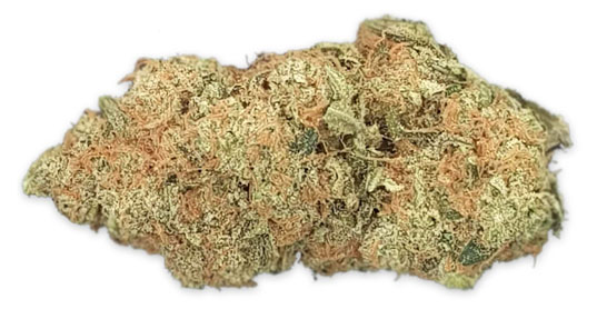 תפרחת פרנהייט