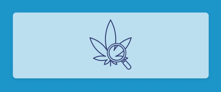 סיכום השבוע שהיה - עדכוני זנים