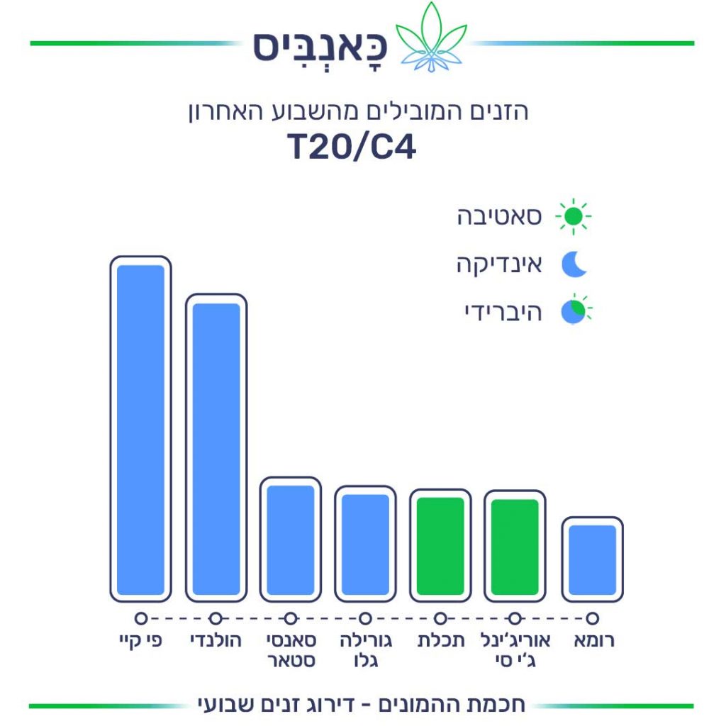 דירוג זנים T20C4