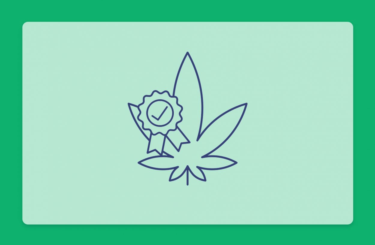 איך לבדוק את איכות הקנאביס - המדריך המלא למטופלים