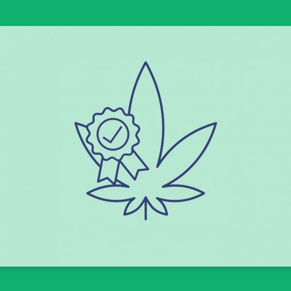 איך לבדוק את איכות הקנאביס - המדריך המלא למטופלים