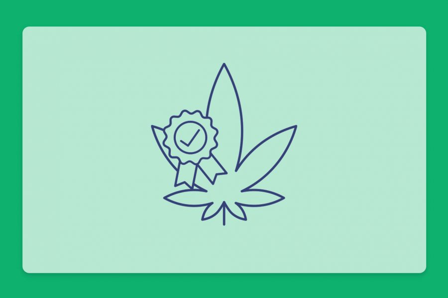 איך לבדוק את איכות הקנאביס - המדריך המלא למטופלים