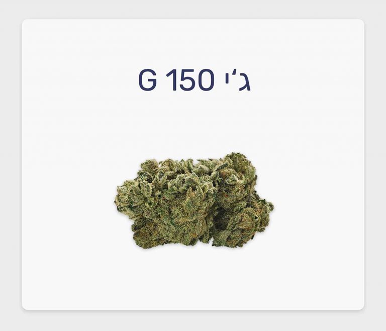 סקירת זן – תפרחת ג'י 150 T20/C4 היברידי