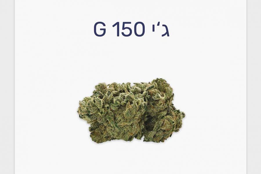 סקירת זן – תפרחת ג'י 150 T20/C4 היברידי