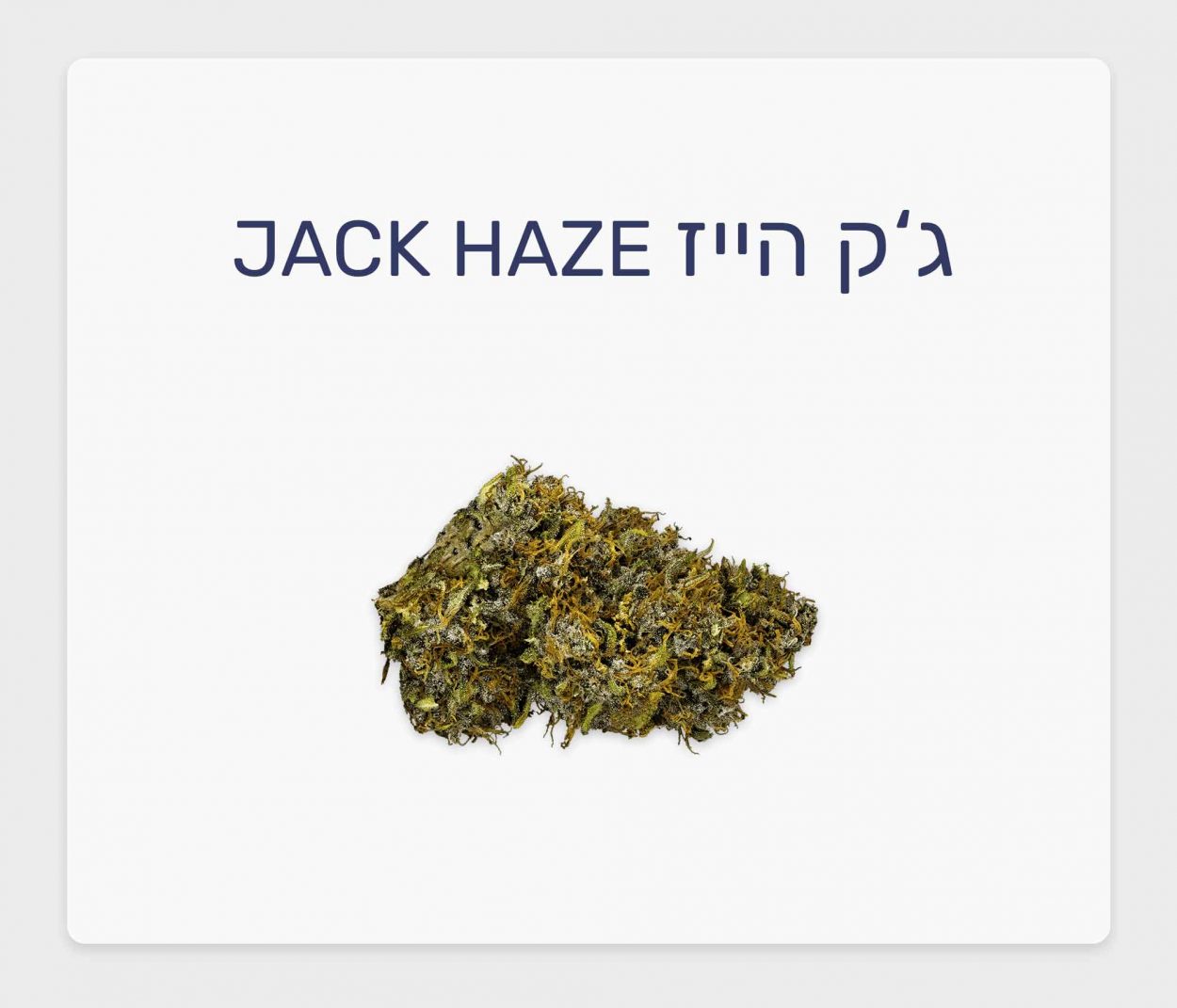 סקירת זן – תפרחת ג'ק הייז T20/C4 סאטיבה