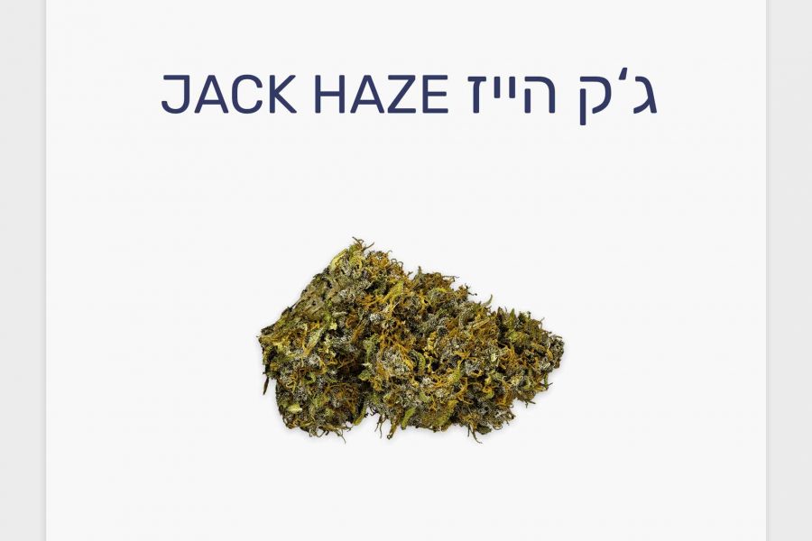 סקירת זן – תפרחת ג'ק הייז T20/C4 סאטיבה