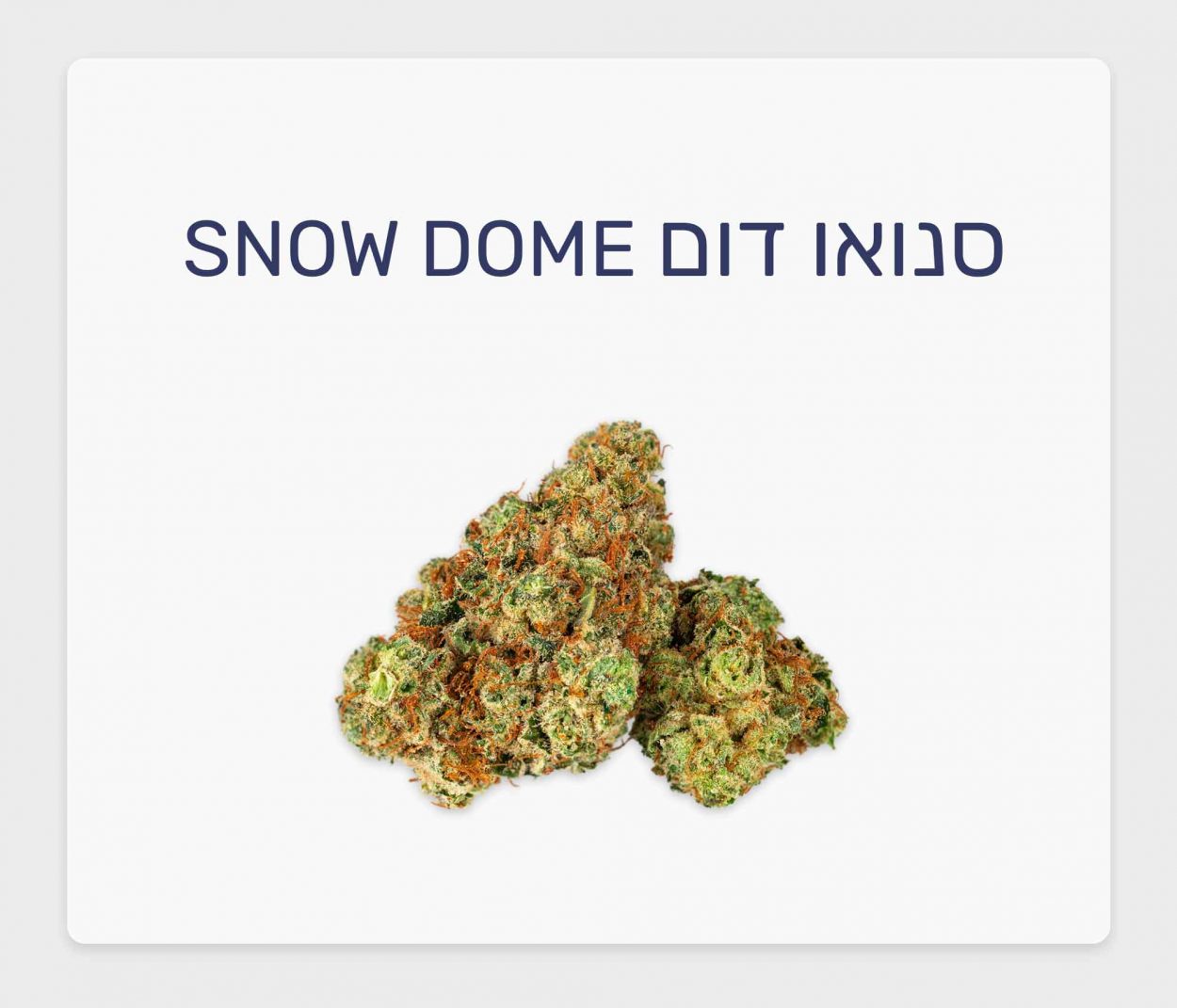 סקירת זן – תפרחת סנואו דום T20/C4 אינדיקה